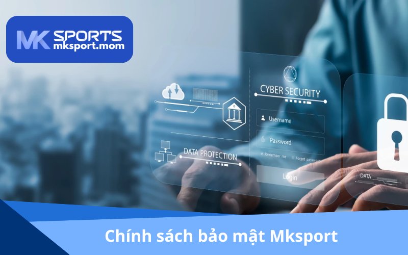 Tổng quan chính sách bảo mật 