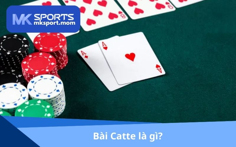 Bài Catte là gì?