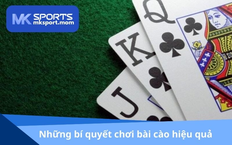 Những bí quyết chơi bài cào hiệu quả nhất