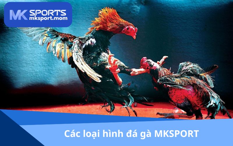 Đa dạng loại hình đá gà