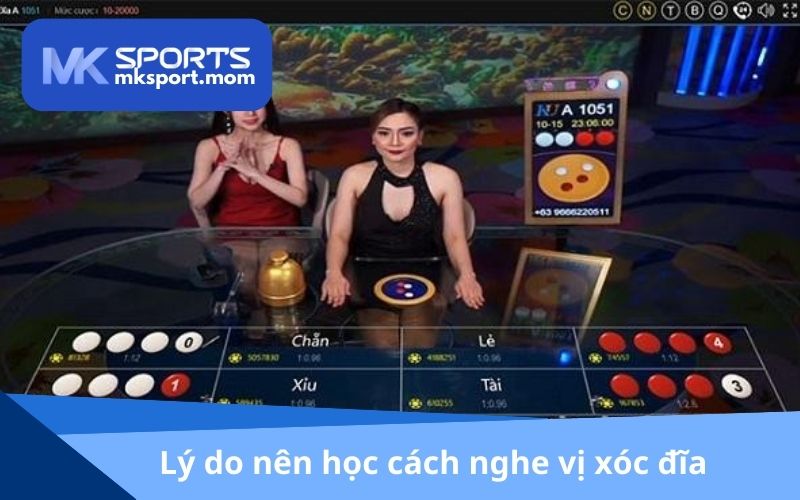 Lý do người chơi nên học cách nghe vị xóc đĩa