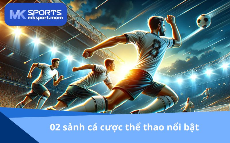 2 sảnh thể thao kinh điển